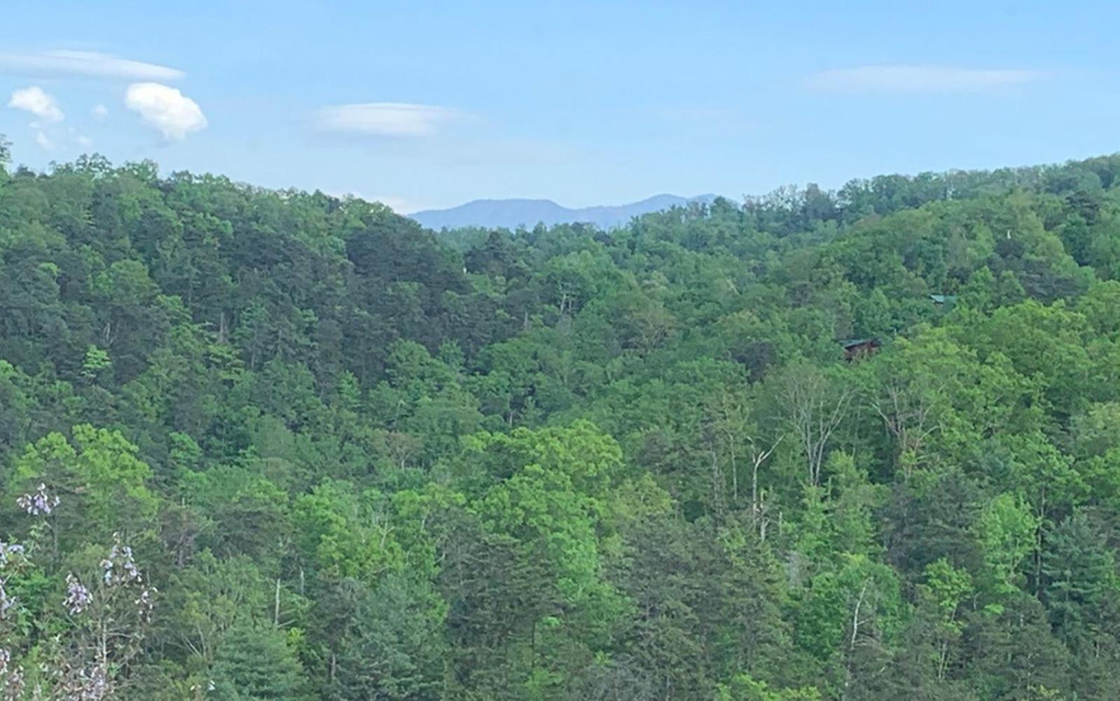 Bella Vista Villa Pigeon Forge Dış mekan fotoğraf